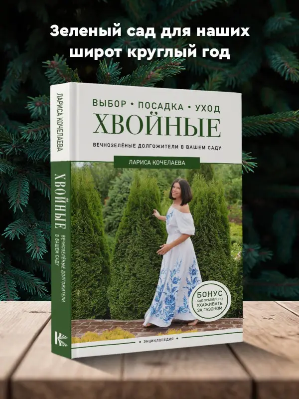 Кочелаева Лариса: Энциклопедия хвойных растений. Вечнозелёные долгожители в вашем саду