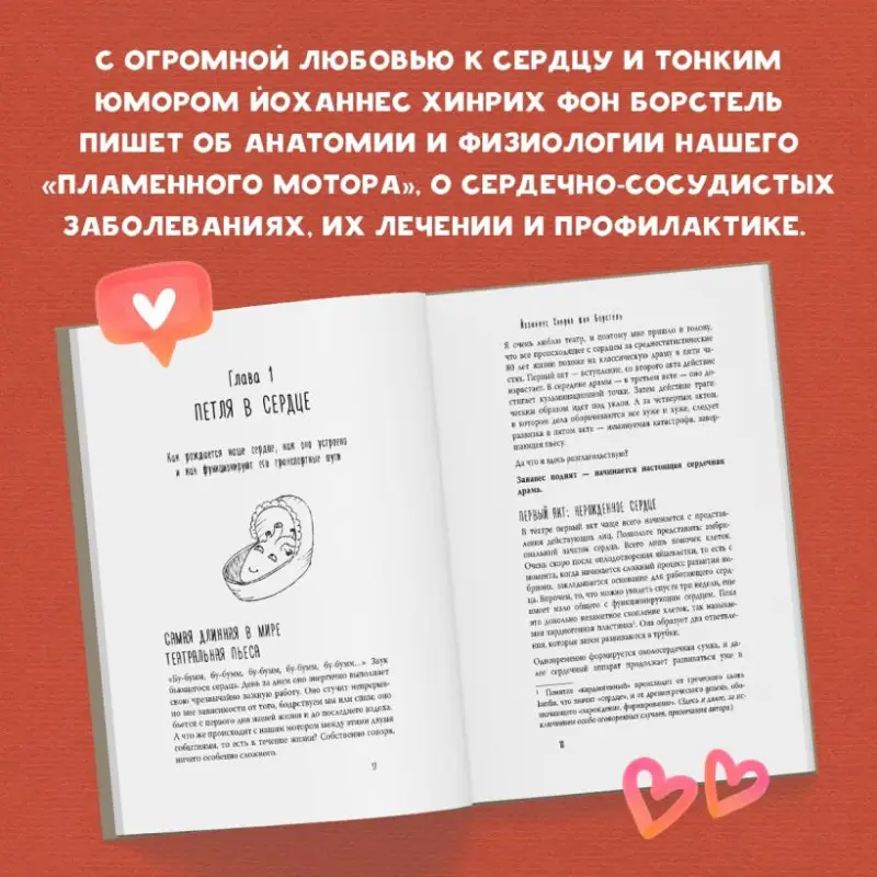 Тук-тук, сердце! Как подружиться с самым неутомимым органом и что будет, если этого не сделать
