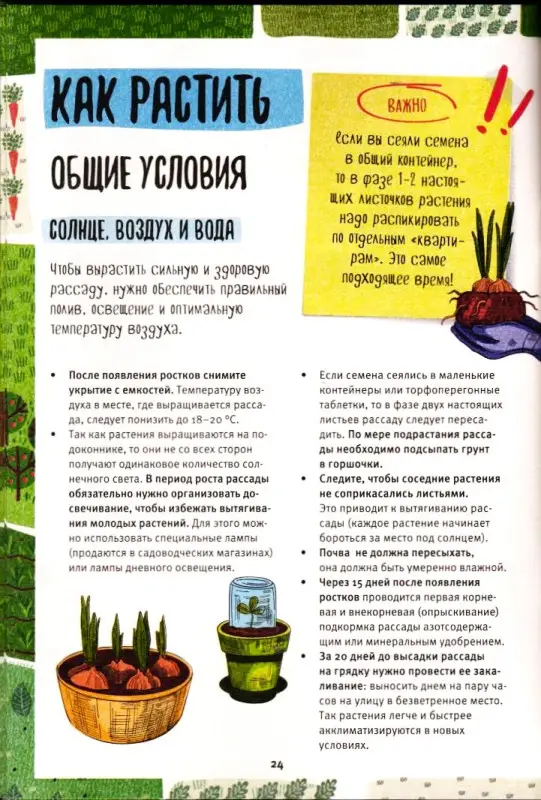 На Бис спец Рассада Дневник огородника