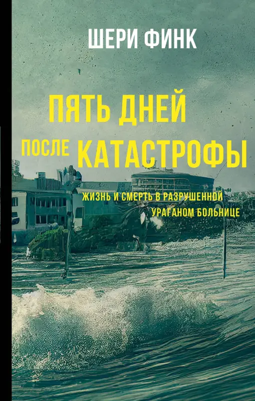 Финк Шери: Пять дней после катастрофы