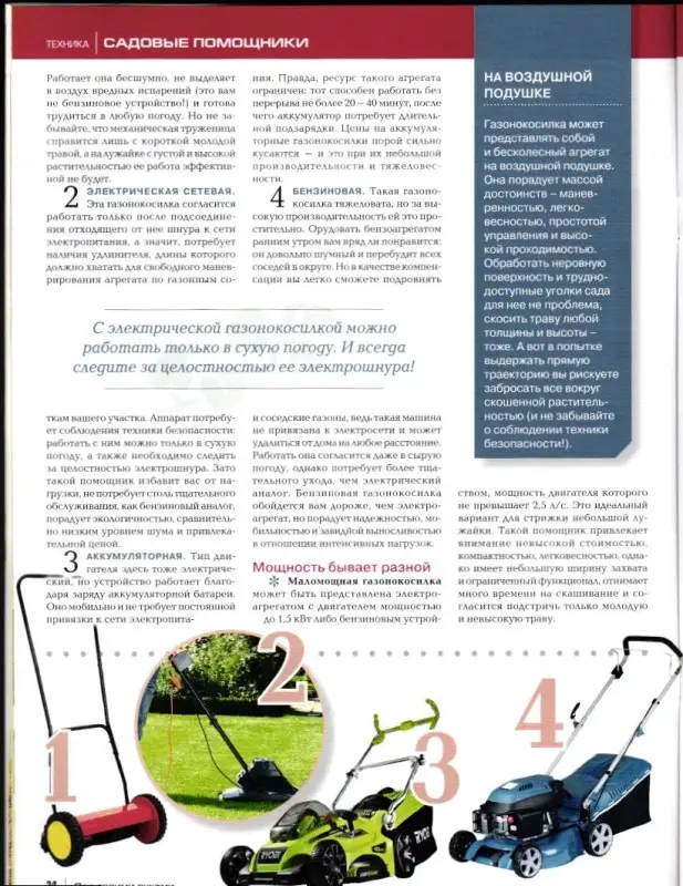 Журнал САД СВОИМИ РУКАМИ №08/2019