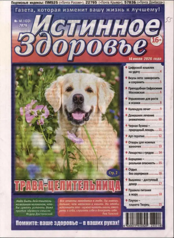 Истинное здоровье 14/26