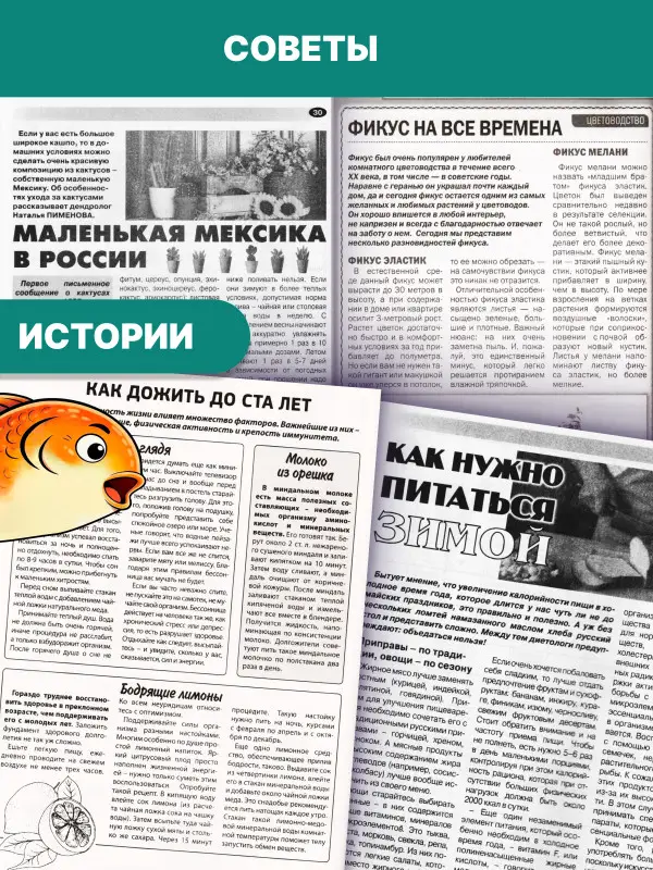 Набор сканвордов/кроссвордов 1,5 кг