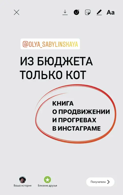 Уценка. Из бюджета только кот. Книга о продвижении и прогревах в инстаграме