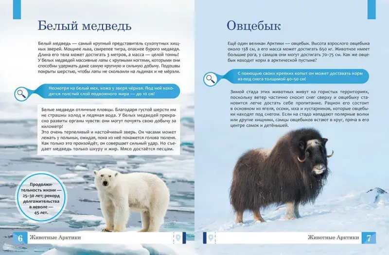 Уценка. Ульева Е.А. Животные: энциклопедия