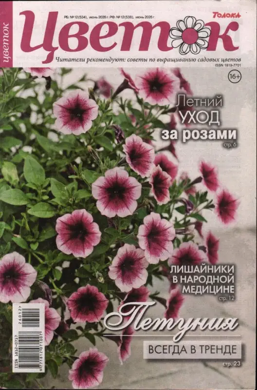 Цветок 12/26