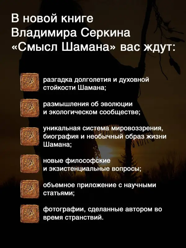 Серкин Владимир Павлович: Смысл Шамана