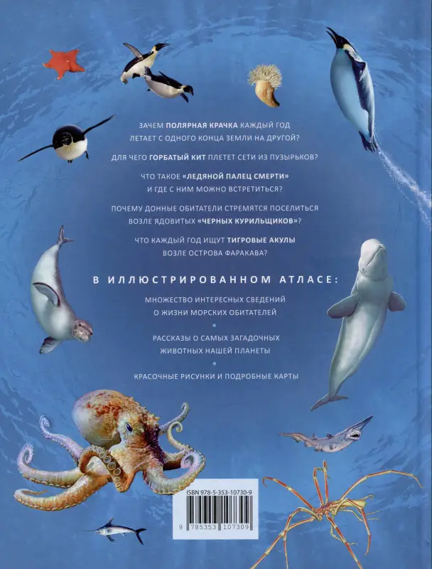 Моря и океаны. Иллюстрированный атлас