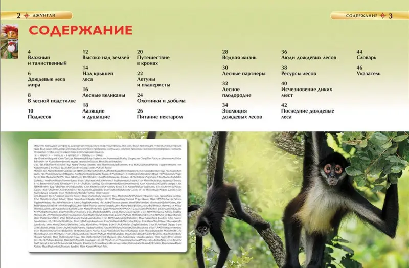 Уценка. Джунгли. Детская энциклопедия