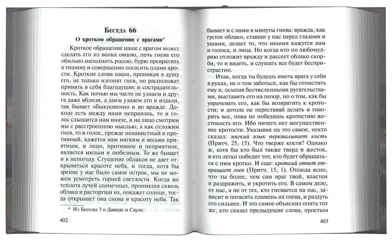 Уценка. Святитель Иоанн Златоуст. Избранные беседы
