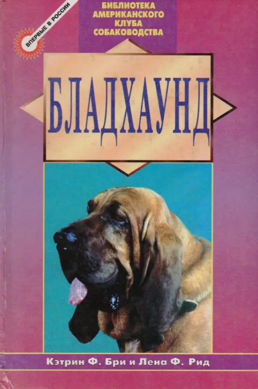 Уценка. Бладхаунд