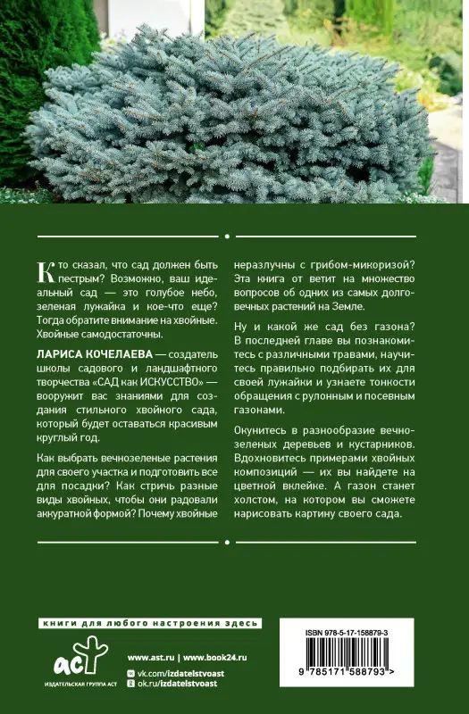 Кочелаева Лариса: Энциклопедия хвойных растений. Вечнозелёные долгожители в вашем саду