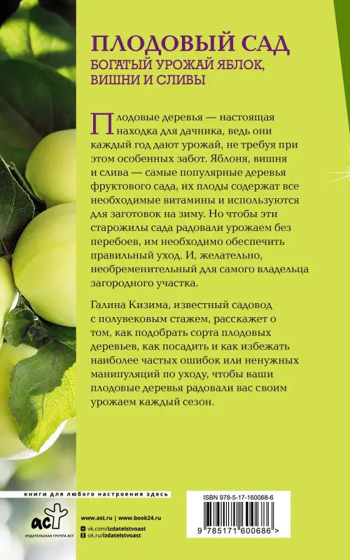 Кизима Галина Александровна: Плодовый сад. Богатый урожай яблок, вишни и сливы