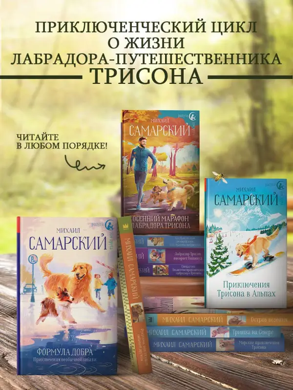Самарский Михаил Александрович: Кот Сократ выходит на орбиту. Записки котонавта
