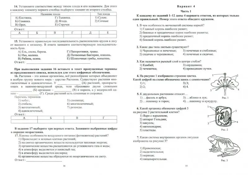 Биология. 6 класс. Готовимся к ВПР и итоговой аттестации в условиях реализации ФГОС ООО: 12 вариантов