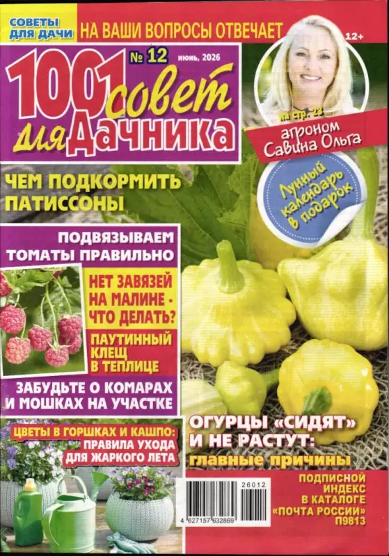 1001 совет для дачника 12/26