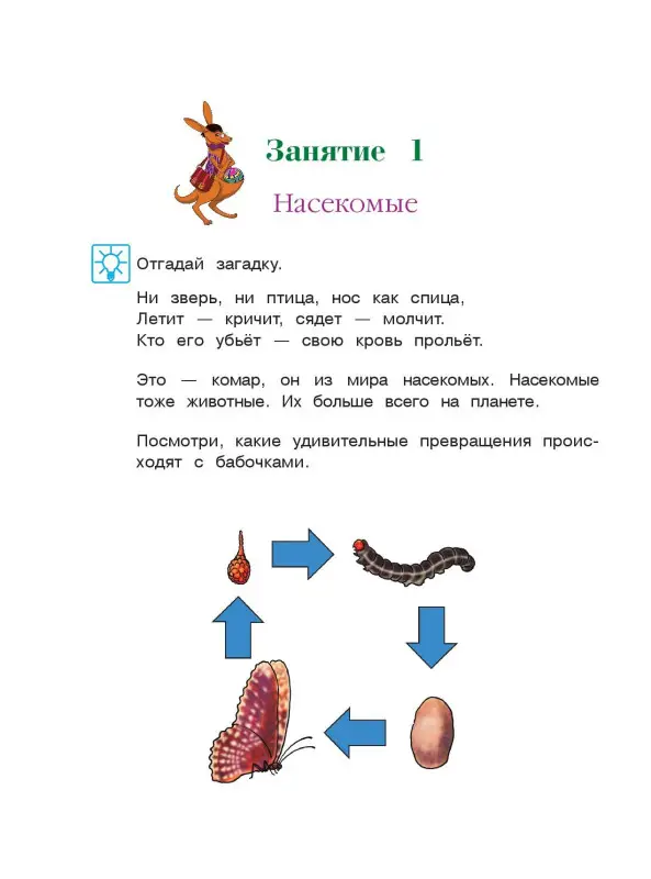 Уценка. В. А. Егупова. Изучаю мир вокруг: для детей 5-6 лет. Ч. 2