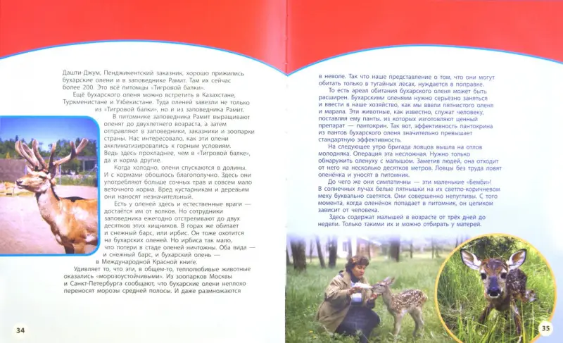 По страницам Красной книги. В 2-х книгах: Дроздов, Макеев (книга 2)