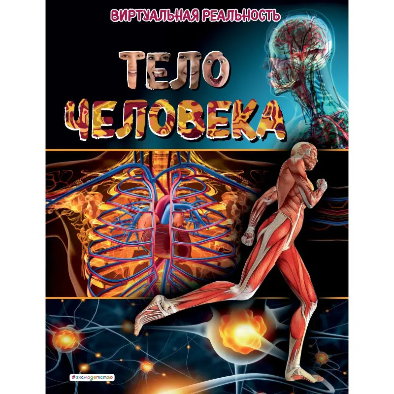 Тело человека. Виртуальная реальность