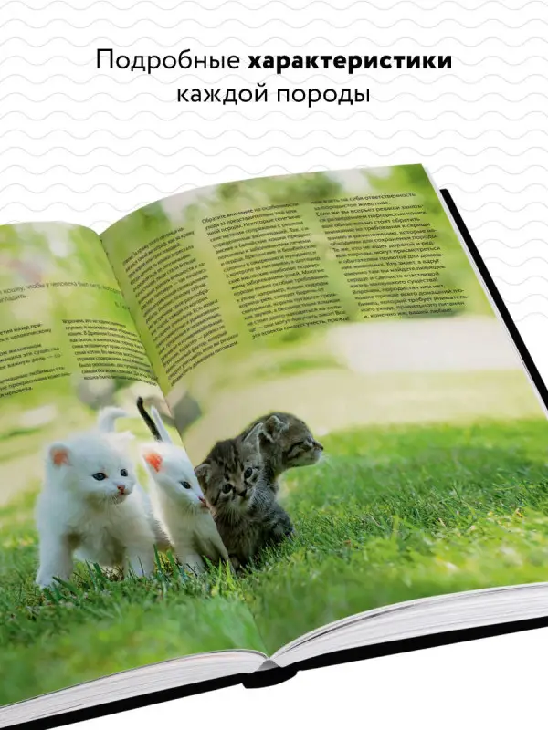 Уценка. Светлана Дудникова, Ольга Есауленко. Кошки. Самая полная иллюстрированная энциклопедия