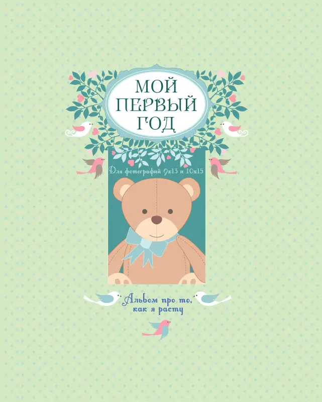 Т.А. Решетник. Мой первый год. Альбом про то, как я расту (большой формат)