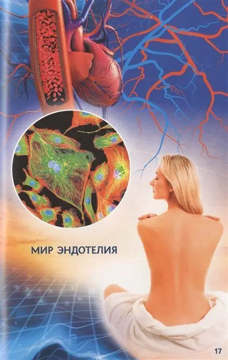 Живой щит организма. Учебники Информационной медицины