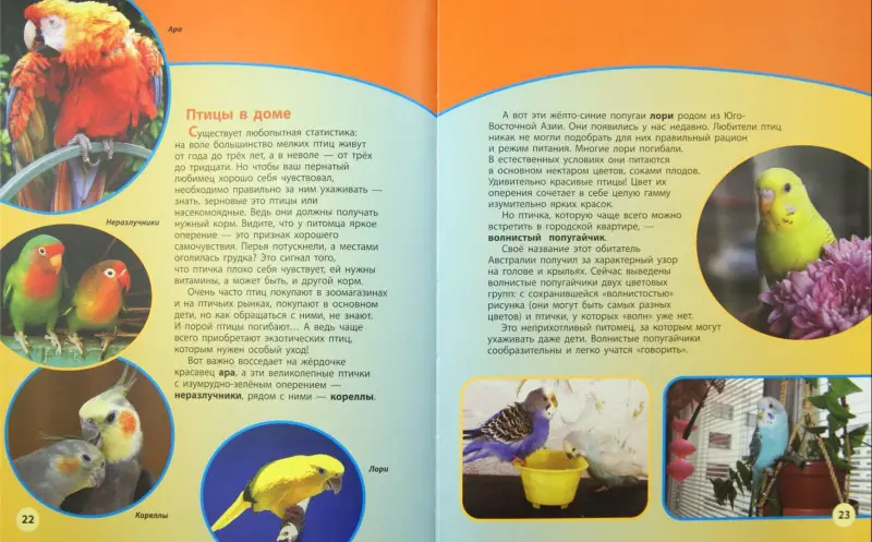 Домашние животные. В 2-х книгах: Дроздов, Макеев (книга 1)