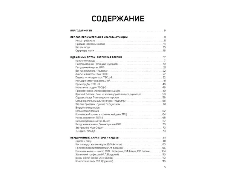Дорофеев Владислав. Русский размер. История трубы, или новая индустриализация