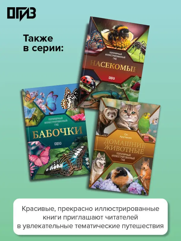 Спектор Анна Артуровна, Папуниди Елена Алексеевна: Птицы. Иллюстрированный гид