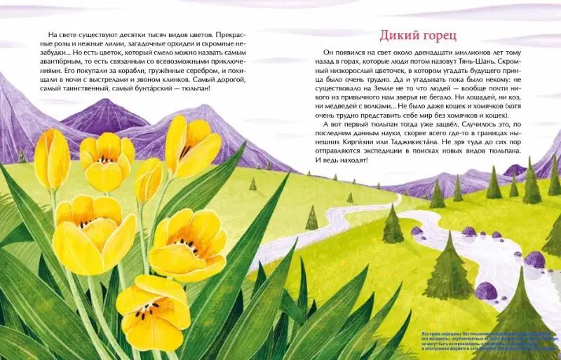Тюльпан. Цветок султанов и мельников, Назаркин Николай Николаевич []