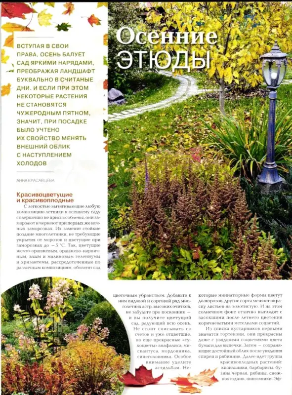 Журнал САД СВОИМИ РУКАМИ №12/2019