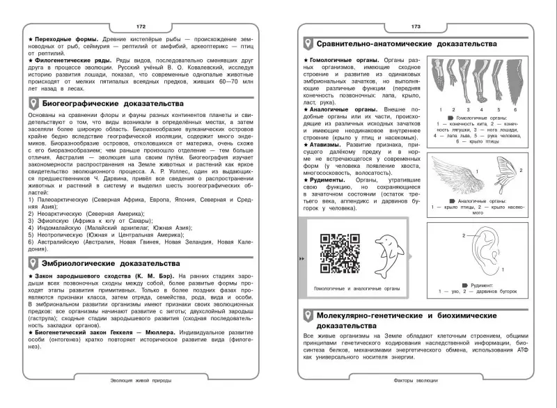 О. Ч. Мазур, О. В. Лаптева. Биология