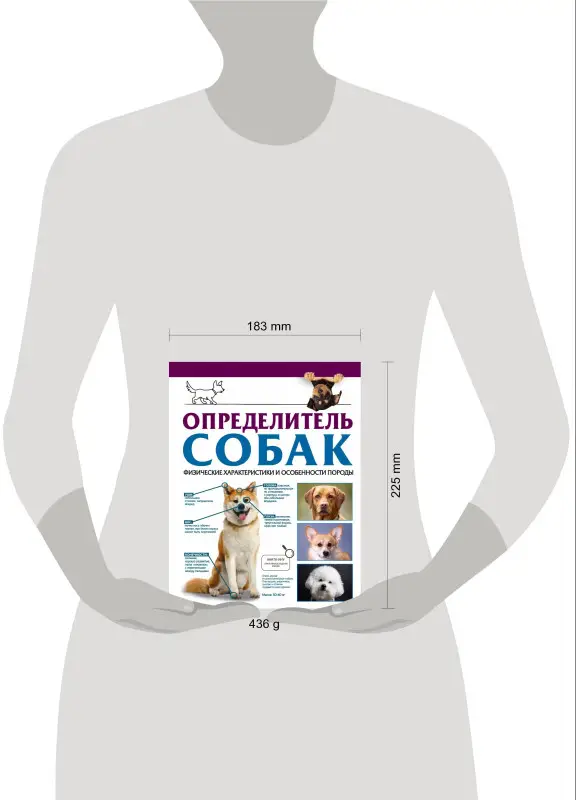 Барановская Ирина Геннадьевна: Определитель собак. Физические характеристики и особеннности породы