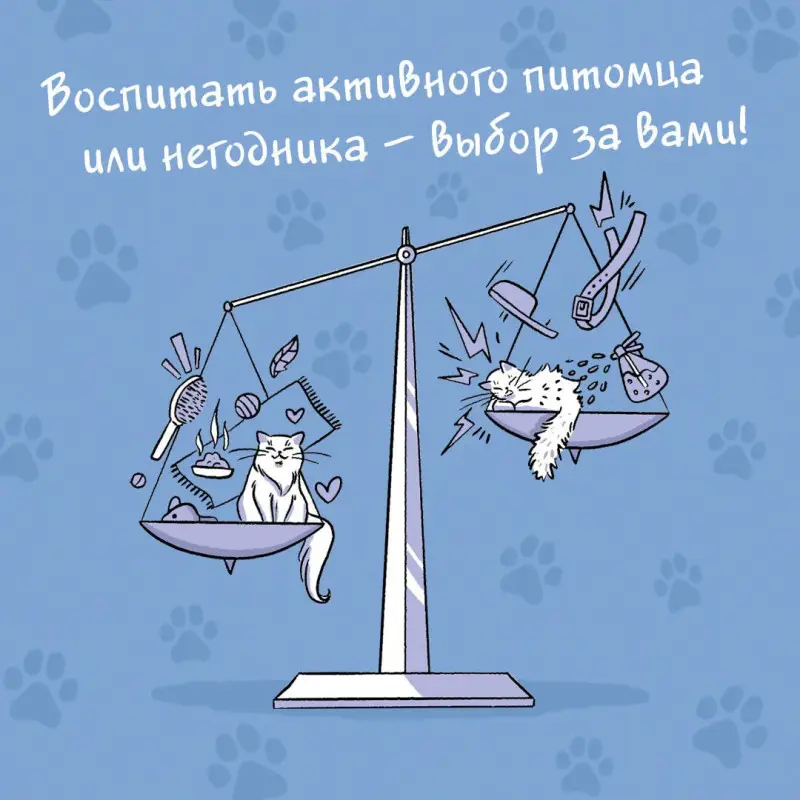 Орлова Анна: СаМЯУчитель. Как правильно играть с кошкой