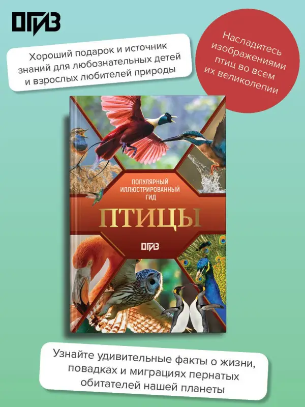 Спектор Анна Артуровна, Папуниди Елена Алексеевна: Птицы. Иллюстрированный гид