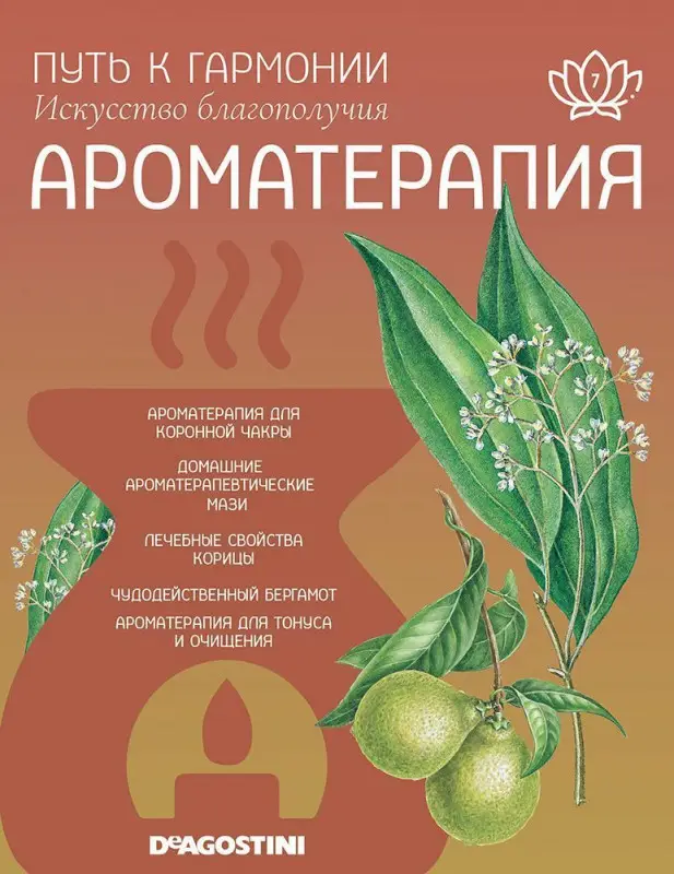Журнал № 007 Путь к гармонии. Ароматерапия (Свеча коронной чакры 7, арома палочки Корица)
