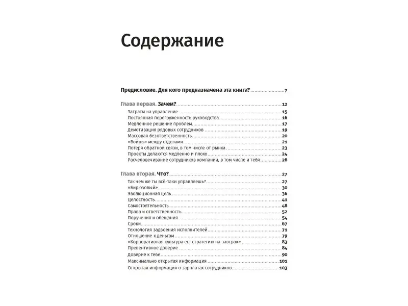 Разгуляев Валера: Бирюзовое управление на практике: Опыт российских компаний