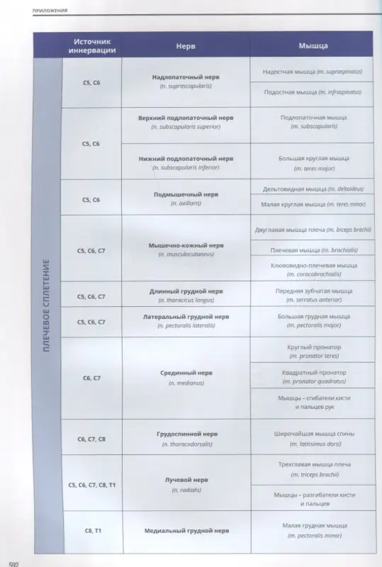 Мануальное мышечное тестирование. Клинический атлас