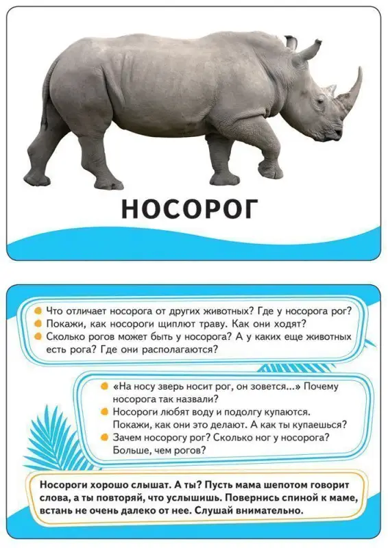 Развивающие карточки. Животные