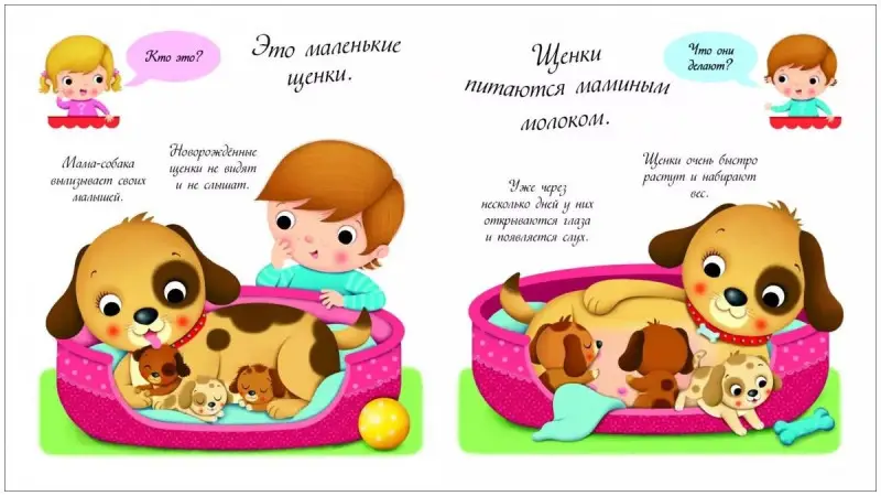 Собаки и щенки. Кто это такие?