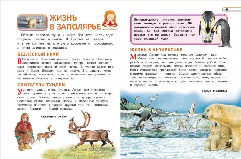 Большая энциклопедия для детского сада