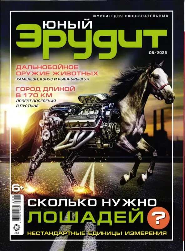 ж-л Юный Эрудит 08/25