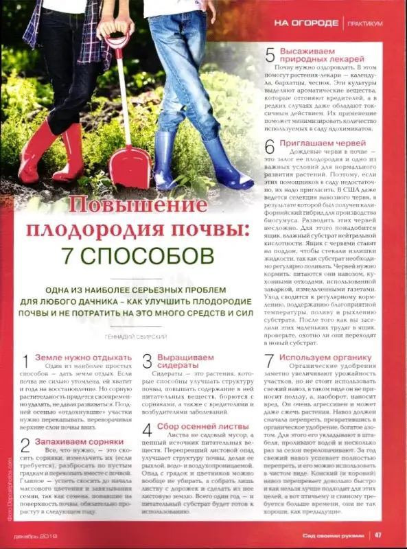 Журнал САД СВОИМИ РУКАМИ №12/2019