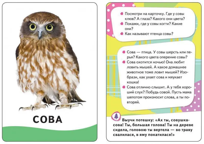 Уценка. Развивающие карточки "В лесу" (U4680010499801)