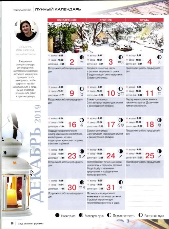 Журнал САД СВОИМИ РУКАМИ №12/2019