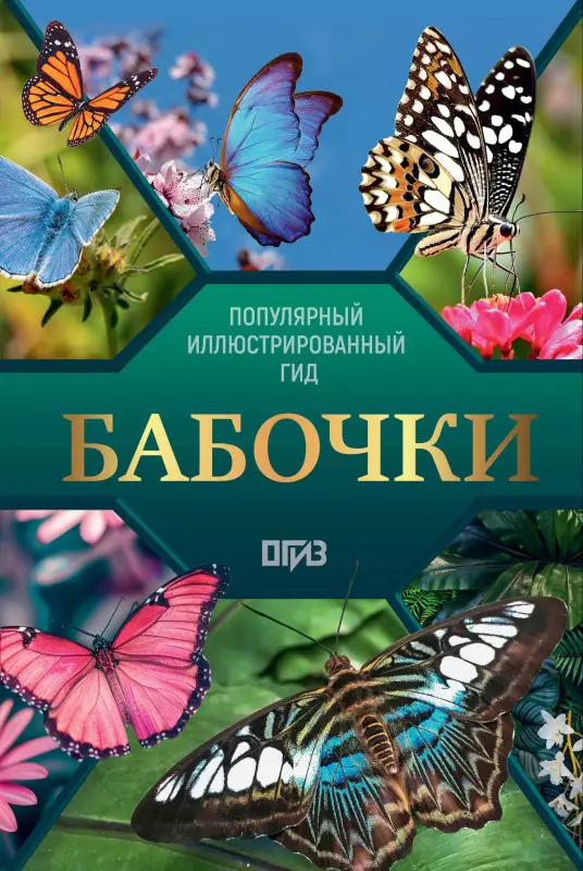 Спектор Анна Артуровна: Бабочки. Иллюстрированный гид