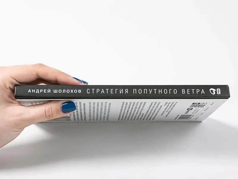Уценка. Шолохов Андрей: Стратeгия попутного ветра. Как обнаружить или создать асимметрии, способные придать бизнесу ускорение