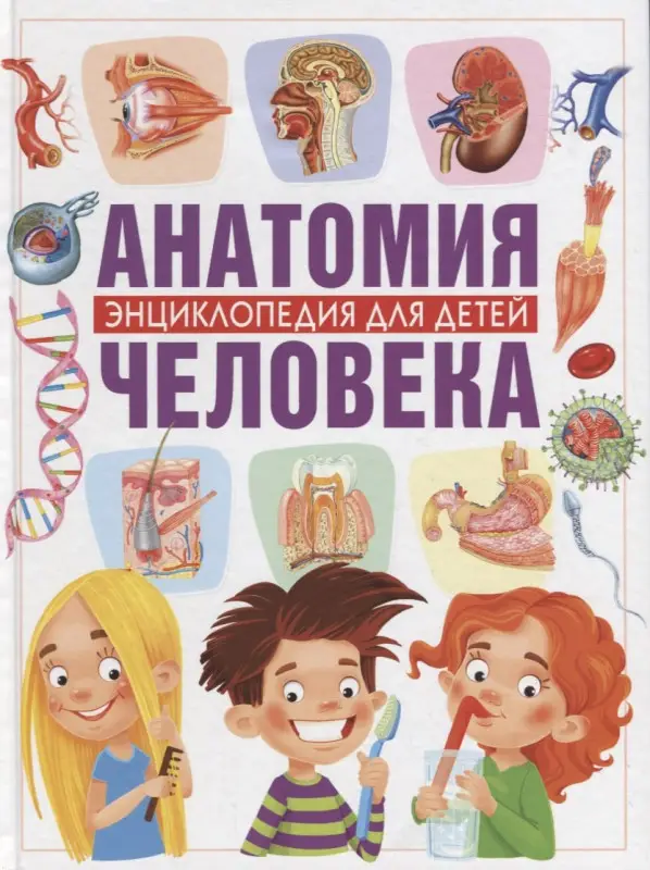 Винченцо Гуиди: Анатомия человека. Энциклопедия для детей