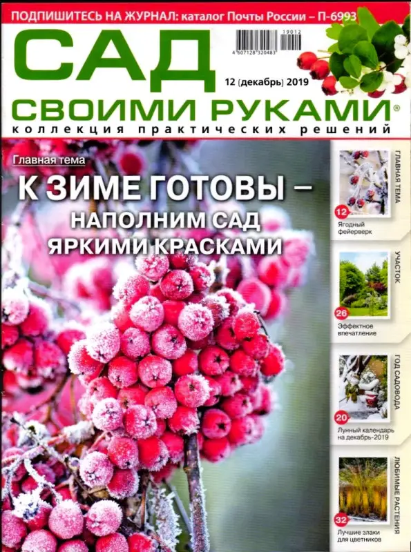 Журнал САД СВОИМИ РУКАМИ №12/2019