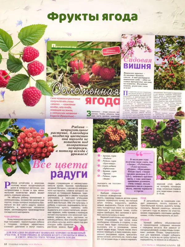 Комплект  из 5 журналов Моя любимая дача, домашние заготовки